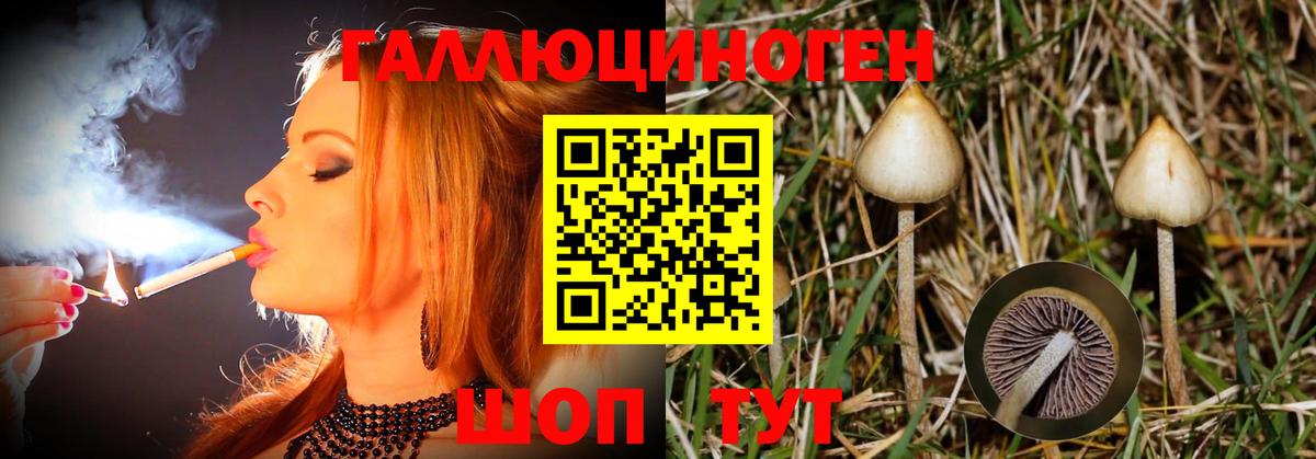 Псилоцибиновые грибы мухоморы Михайловка