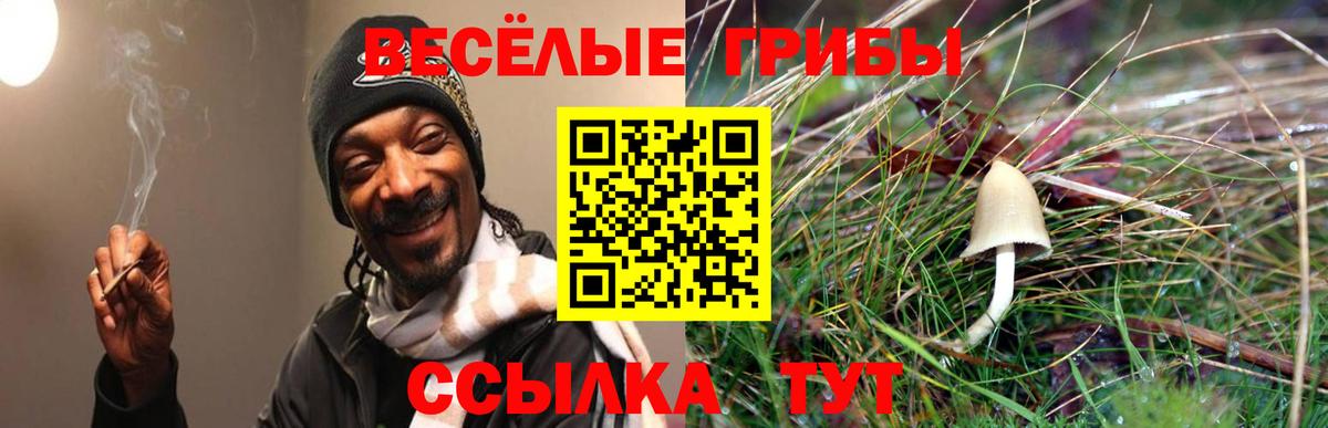 Псилоцибиновые грибы Psilocybe  Псилоцибиновые грибы Psilocybine cubensis  Михайловка  Вход с VPN 