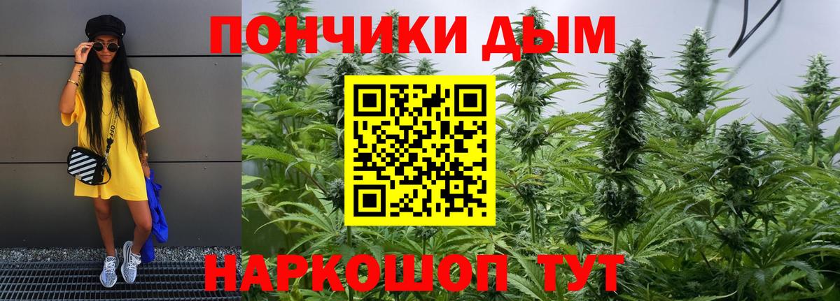Бошки марихуана OG Kush Михайловка